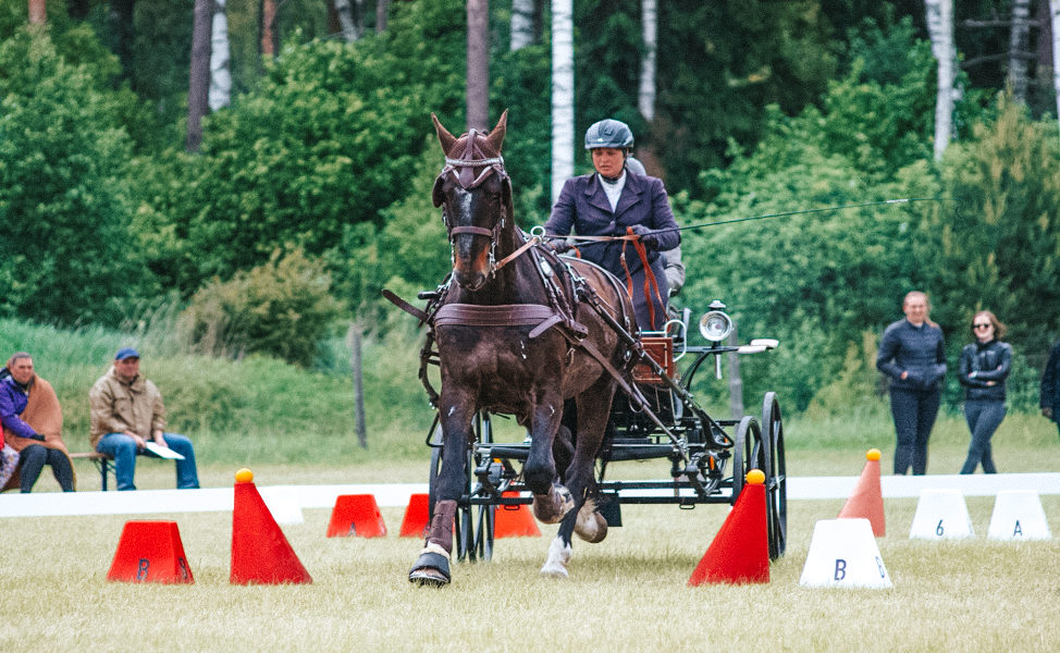 CHI Pärnu 2021 – esimene rahvusvaheline ratsaspordifestival regioonis