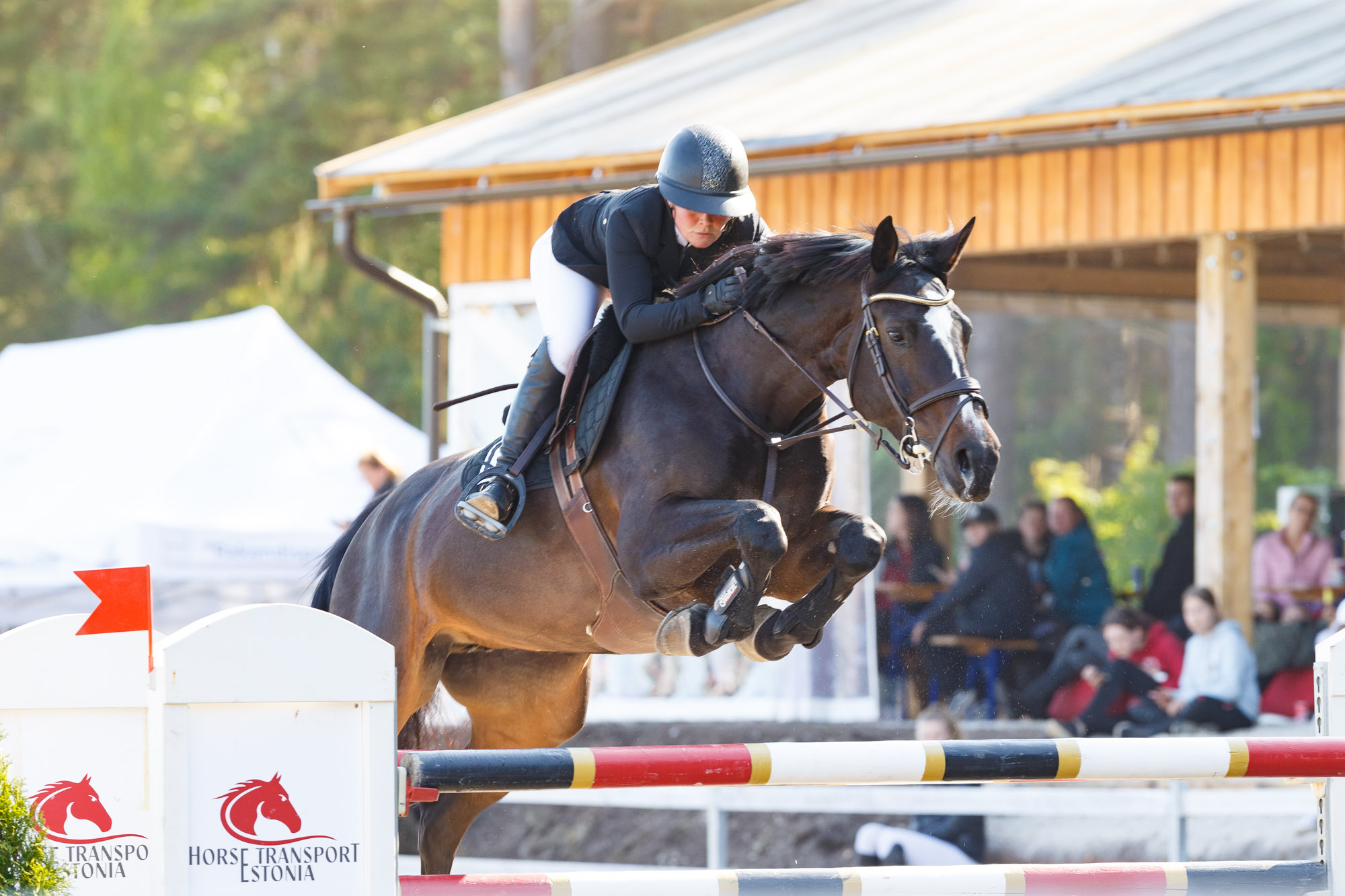 Eeloleval nädalavahetusel saab avalöögi Pärnus Maria talus viiendat korda peetav rahvusvaheline ratsaspordifestival CHI Pärnu 2025, mis tänavu sisaldab MK-etapp